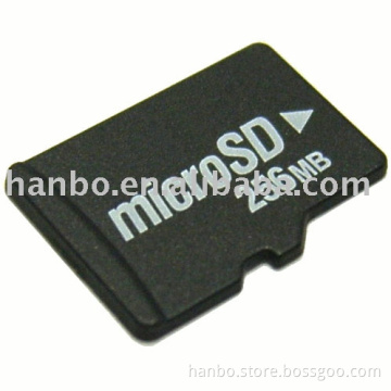 SD card, micro SD card, mini SD card, branded memory card